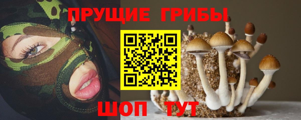 Псилоцибиновые грибы прущие грибы  Галлюциногенные грибы GOLDEN TEACHER  Вход с VPN  Лянтор 
